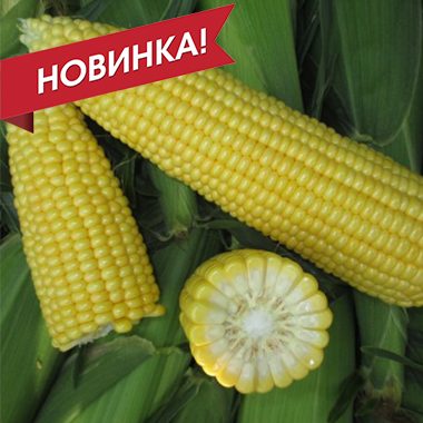 СВ 1514 СК F1