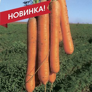 Карвора F1