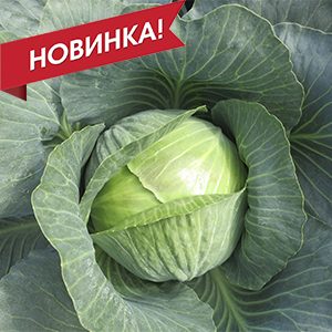 Гальватрон F1