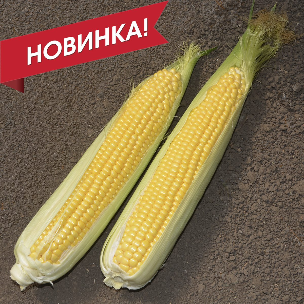 Мессенджер F1